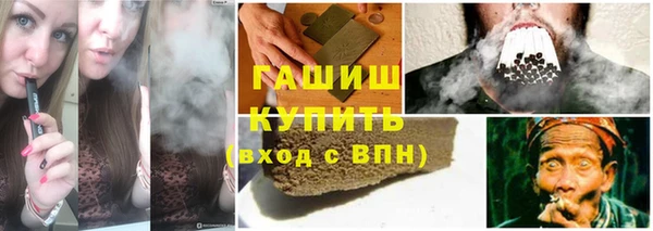 индика Магас