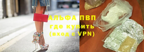 индика Магас