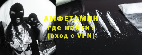 индика Магас