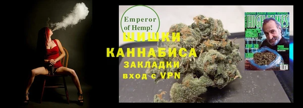 индика Магас