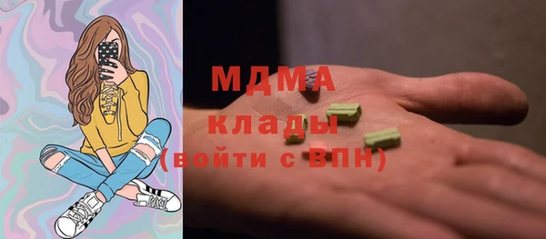 индика Магас
