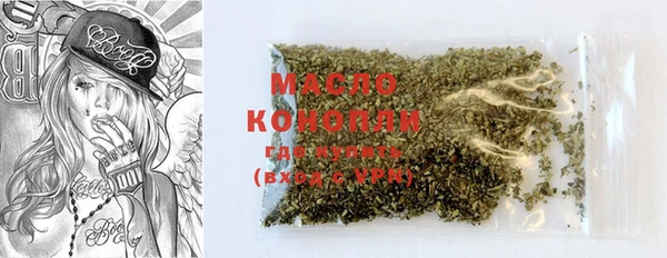 индика Магас