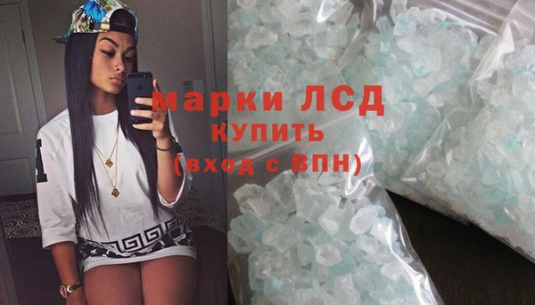 индика Магас