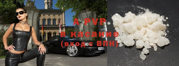 индика Магас