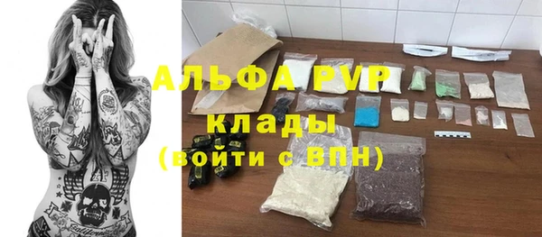 индика Магас