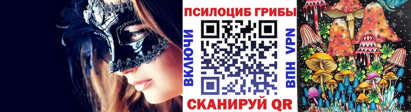 Галлюциногенные грибы Cubensis  Тайга 